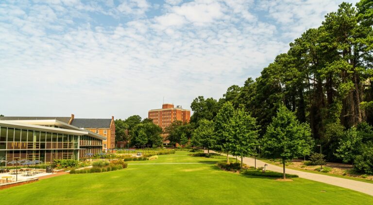 Addressing Bias in Discipline Policies and Restorative Justice Practices