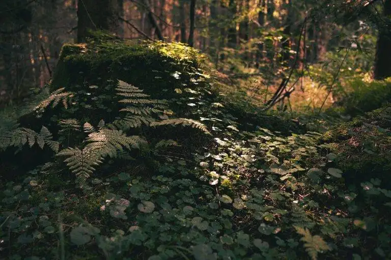 Travel-Friendly Fashion: Packing Smart and Staying Stylish