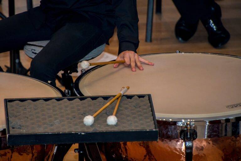 Sustainability in Video Game Merchandise: Eco-Friendly Materials