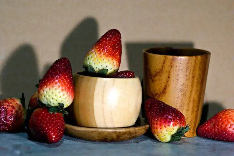 The Future of Sustainable Packaging: Biodegradable Alternatives