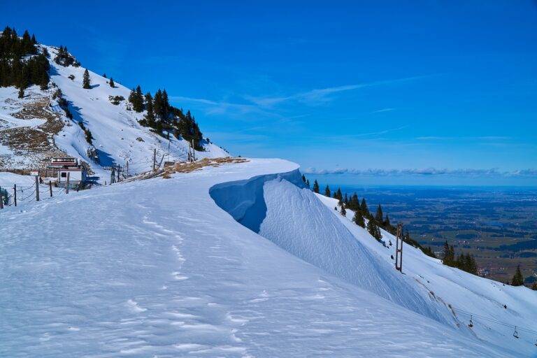 The Role of Cruise Ships in Travel Trends